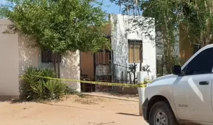 Colonia La Cholla