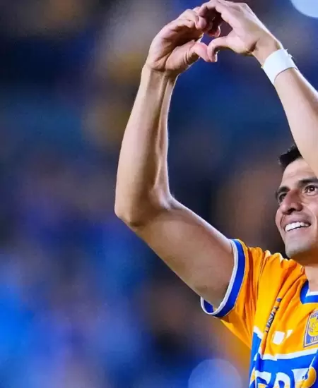 Tigres