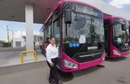 Piden frenar ataques a camiones urbanos durante Halloween