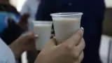 Desayunos escolares