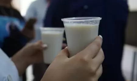 Desayunos escolares