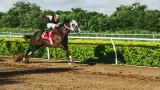 carrera de caballos