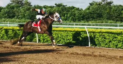 carrera de caballos