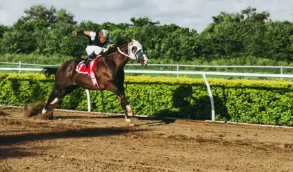 carrera de caballos