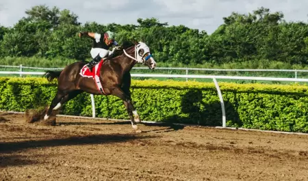 carrera de caballos