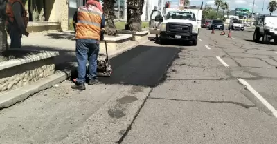 Bacheo