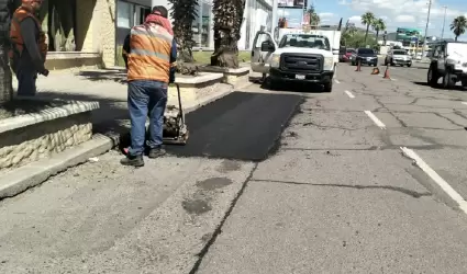 Bacheo
