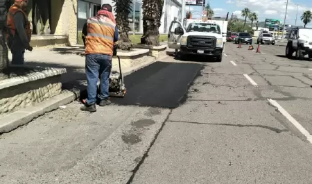 Bacheo