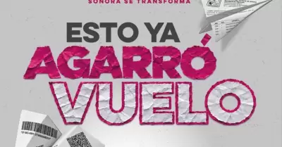 Buen Fin 2026.