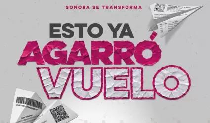 Buen Fin 2026.