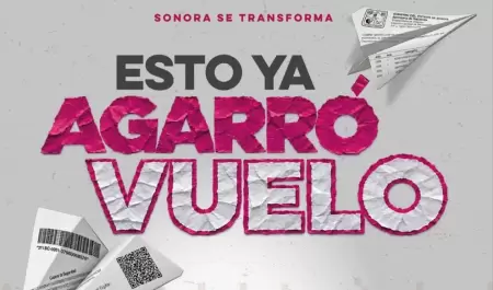 Buen Fin 2026.