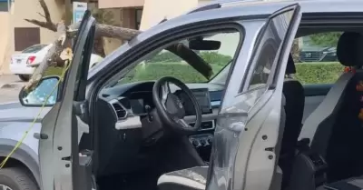 Rama de un �rbol cae sobre veh�culo