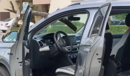 Rama de un �rbol cae sobre veh�culo