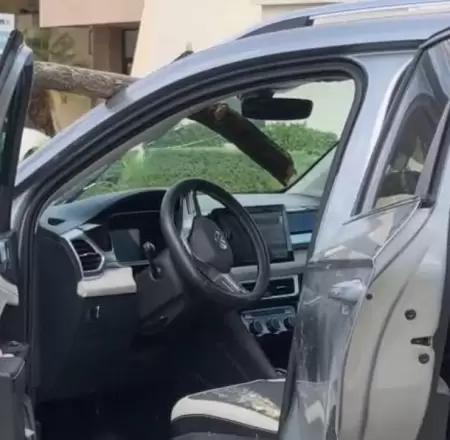 Rama de un �rbol cae sobre veh�culo