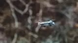Dron
