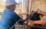 Sonora reanuda exportaci�n de ganado a EU tras descartar riesgo sanitario