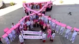 D�a Mundial de la Lucha contra el C�ncer de Mama