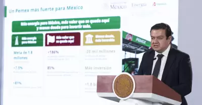 Juan Carlos Carpio, director general de Petr�leos Mexicanos (Pemex).