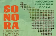 Territorio del jaguar llega al Museo Regional de la Unison