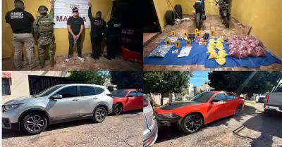 Cateo en Guaymas
