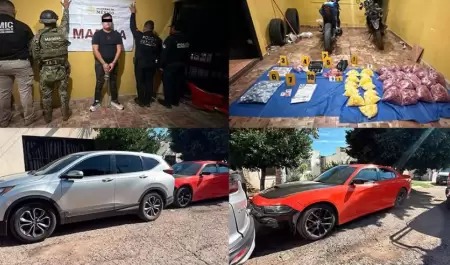 Cateo en Guaymas