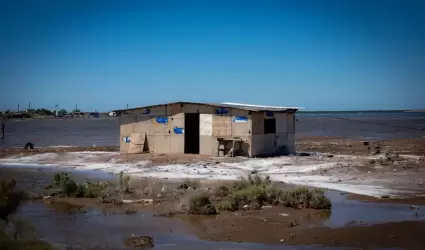 Bah�a de Lobos