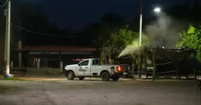 Brigadas para fumigar