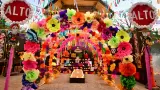 Festival Tradicional de D�a de Muertos