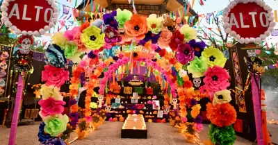 Festival Tradicional de D�a de Muertos