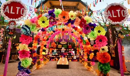 Festival Tradicional de D�a de Muertos