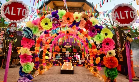 Festival Tradicional de D�a de Muertos