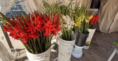 Venta de flores en panteones