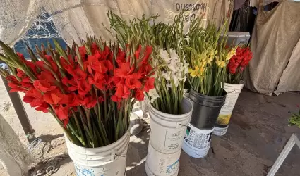 Venta de flores en panteones