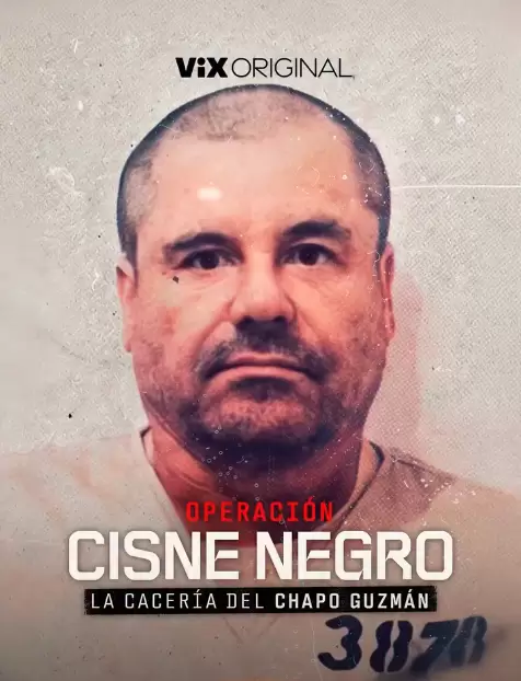 chapo guzman serie
