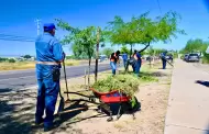 Empleo Temporal llega al Paseo R�o Sonora con jornadas de limpieza