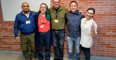Investigan posibles nuevas especies de ara�as