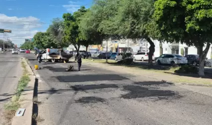 Bacheo Hermosillo