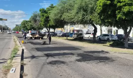 Bacheo Hermosillo