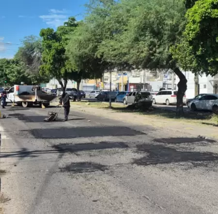 Bacheo Hermosillo