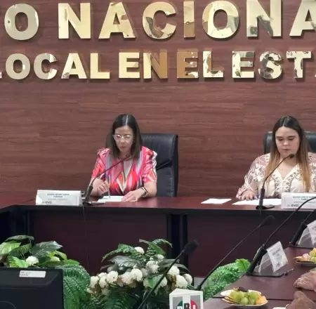INE Sonora