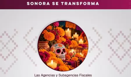 Agencias fiscales